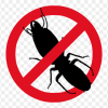 V Star PEST CONTROL termite Pest Control